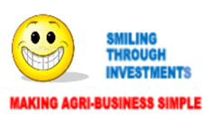Smiling Through Investments  (Pty) Ltd